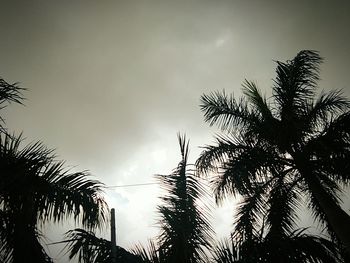 Low angle view of silhouette trees against sky