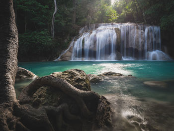 Scenic view of waterfall in forest