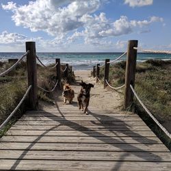 At the beach