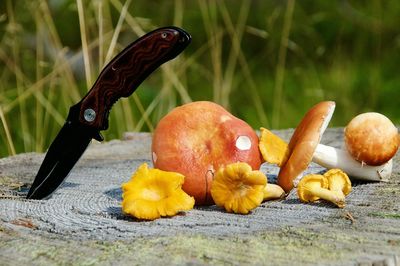 Close-up of pumpkins on flower