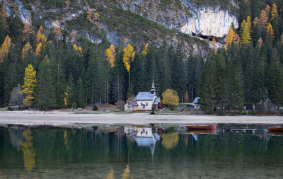 Scenic view of lake by trees in forest