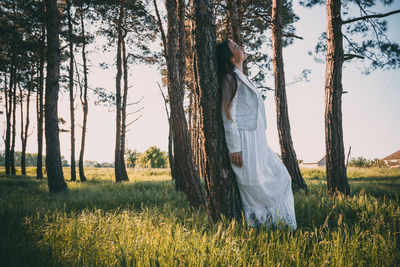 Trees on grassy field