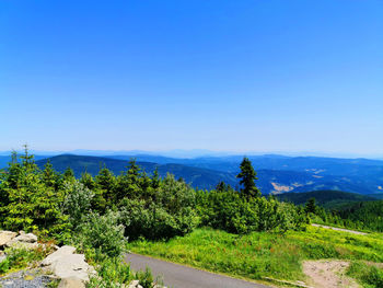 Scenic view of landscape against clear blue sky