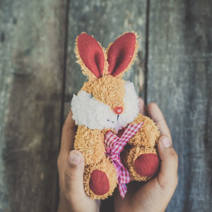 Close-up of hand holding stuffed toy