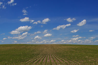 Scenic view of grassy field against cloudy sky