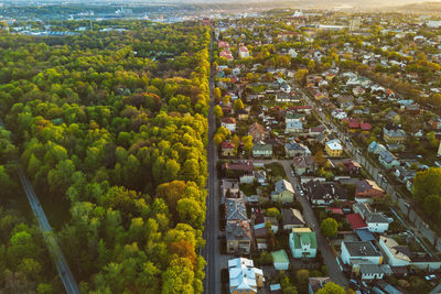 Aerial view of oak woodland by townscape