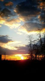 Silhouette of trees at sunset