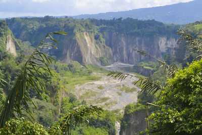 High angle view of trees and mountains