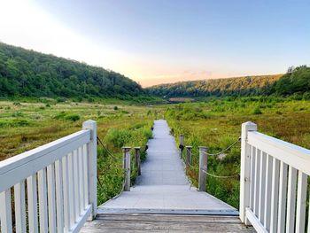 Footpath leading towards green landscape against sky