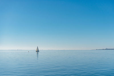 Sailboat sailing in sea against clear blue sky