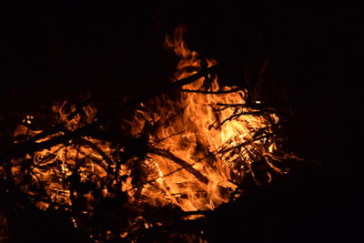 Close-up of bonfire