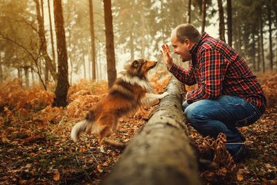 Side view of man with dog in forest during foggy weather