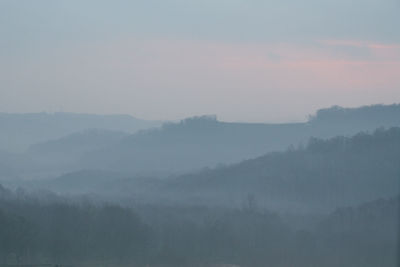 Scenic view of forest against sky during foggy weather