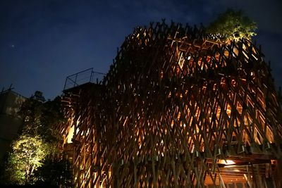 Panoramic view of trees at night