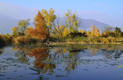 Reflection of trees in lake against sky