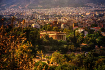 High angle view of trees and buildings in city