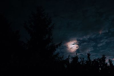 Low angle view of silhouette trees against sky at night