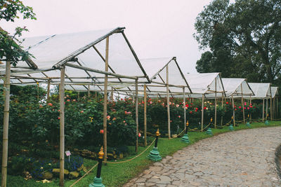 Plants growing in park against sky