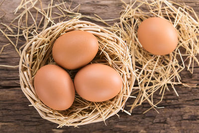 High angle view of eggs in nest