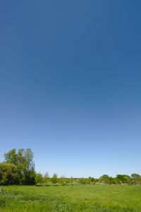 Scenic view of field against clear blue sky