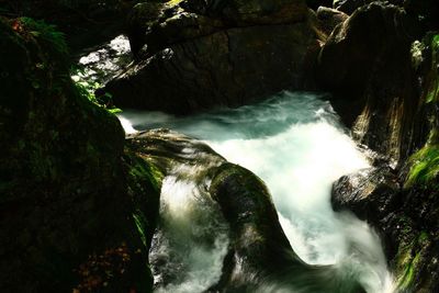 Scenic view of waterfall in forest