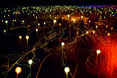 Illuminated christmas lights at night
