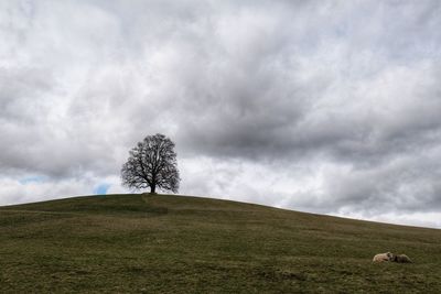 Scenic view of land against sky