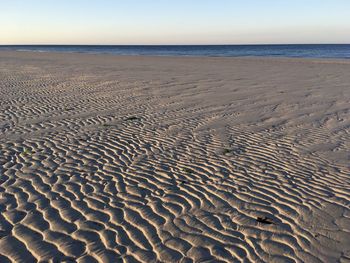 Scenic view of beach