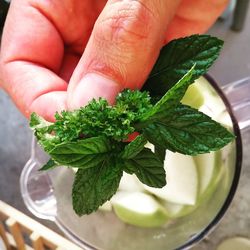 Close-up of hand holding leaf