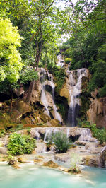 Scenic view of waterfall in forest