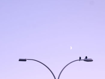 Low angle view of silhouette bird against clear sky