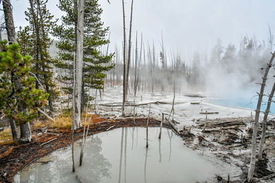 Panoramic shot of trees on snow covered land against sky