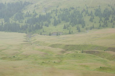 Scenic view of landscape