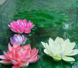 Close-up of lotus water lily