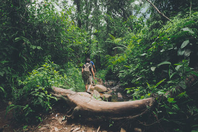 Man standing by tree in forest