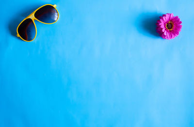 Close-up of purple flower floating in swimming pool
