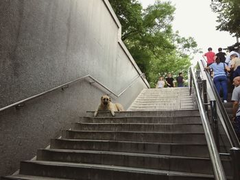 Low angle view of people on staircase of building