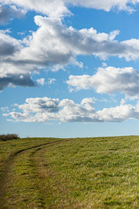 Faint tracks going up a grass hill. cloudy but sunny sky
