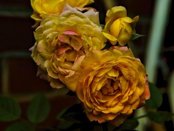 Close-up of yellow rose bouquet