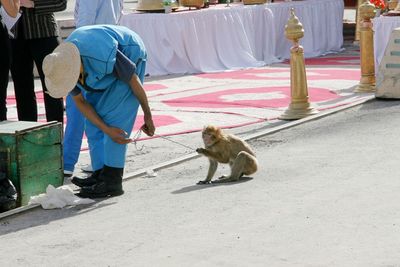 Man holding monkey while standing on street