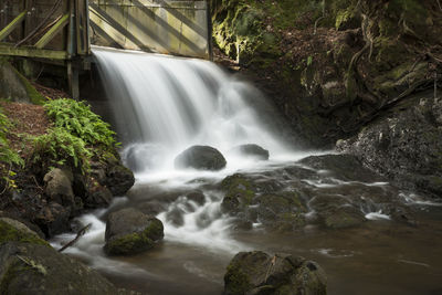 Scenic view of waterfall in forest