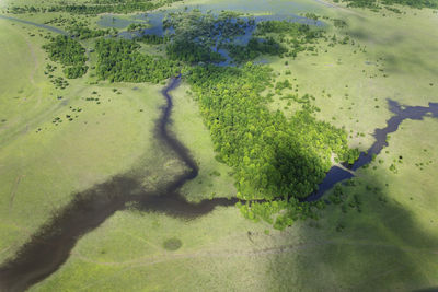 Aerial view of the floodplain on the odra river with the forest and pastures, croatia