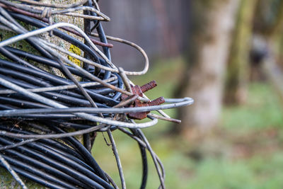 Close-up of metallic cables on pole at field