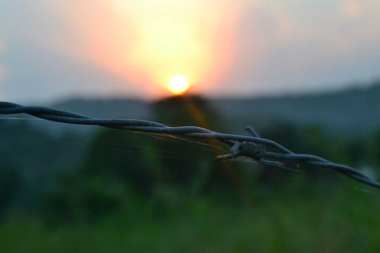 CLOSE-UP OF BARBED WIRE ON LAND AGAINST SKY