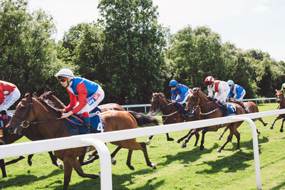 Men riding horses