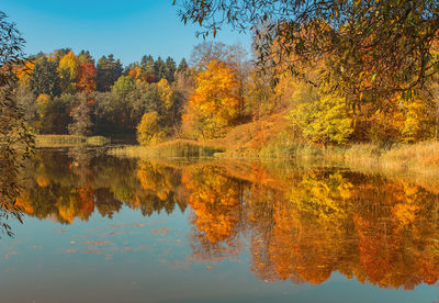 Reflection of trees on lake during autumn