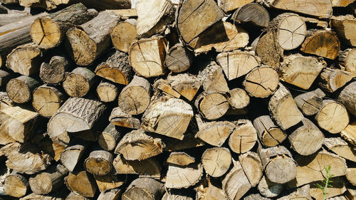 Full frame shot of logs