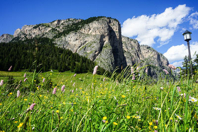 Scenic view of land against sky