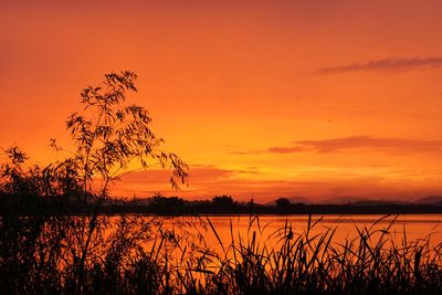 Scenic view of lake at sunset