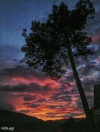 Low angle view of silhouette trees against sky at sunset